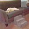 Pet Adobe Pet Adobe High Density Foam Stairs 3 Step Design, Ramp for Small Dogs, Cats with Cover, Gray 113544DFU - alternate 5